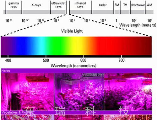 《魂器学院紫色芯片获取方法详解》（探索游戏世界的紫色芯片秘密）